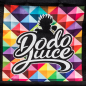 Preview: Dodo Juice Prismatic Detailing Bag Aufbewahrungstasche groß 66x26x30cm