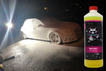 Preview: Racoon Snow Goose im Hintergrund eingeschäumtes Auto